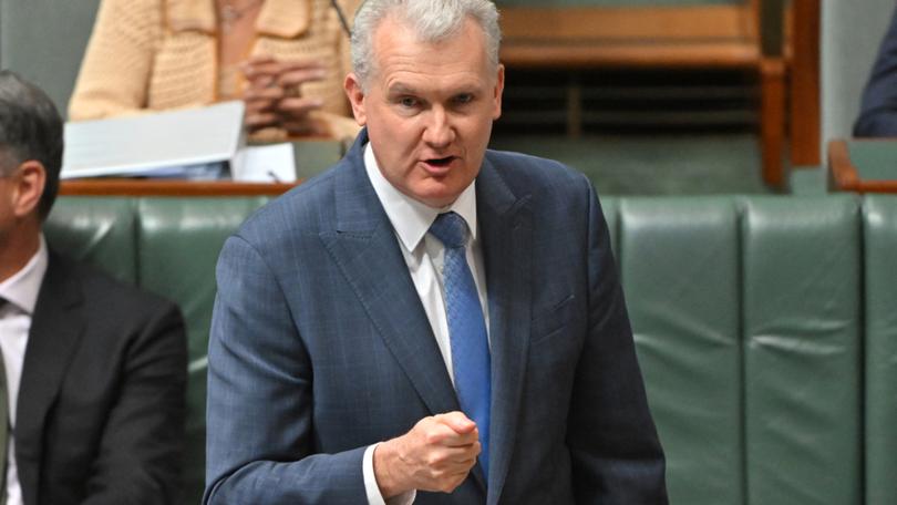 Minister for Employment Tony Burke.