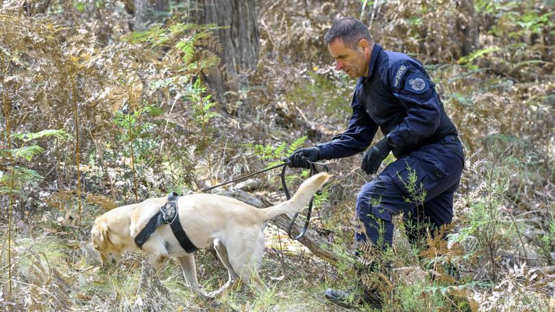 Police search for the remains of slain mother Samantha Murphy in the Buninyong Bushland Reserve near Ballarat, Victoria.