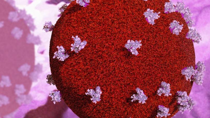 The researchers are looking for a way to target HIV wherever it appears in the body. 