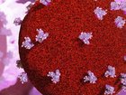 The researchers are looking for a way to target HIV wherever it appears in the body. 