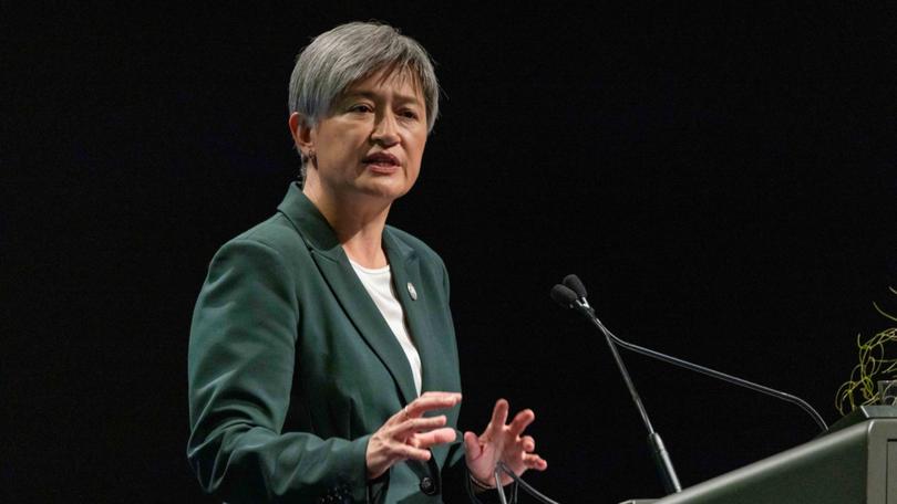 Penny Wong raised Australia’s concerns about volatility in the global nickel market during talks with her counterpart Wang Yi in Canberra.