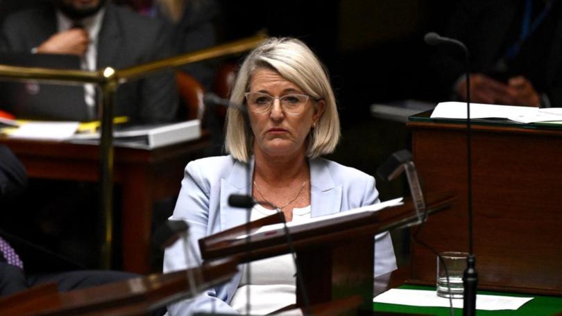 There are calls for NSW Police Minister Yasmin Catley to step down.
