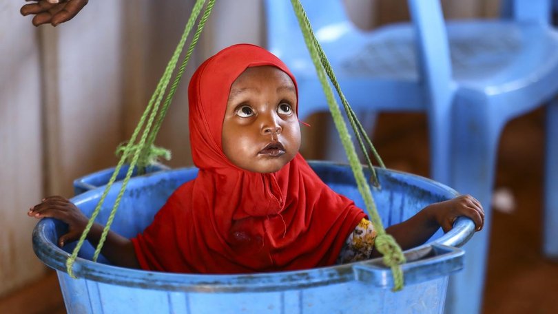 The researchers say the world will face a baby boom in some countries and a baby bust in others.