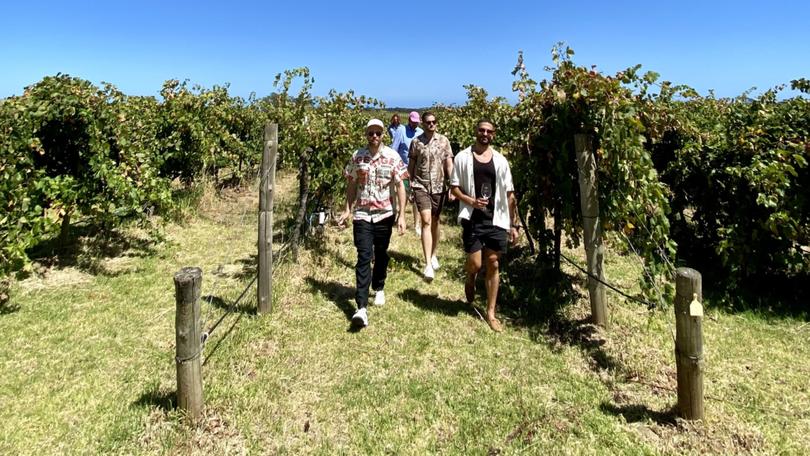 Silent Noise Winery, McLaren Vale.