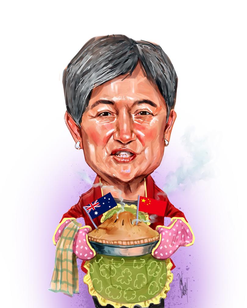 Penny Wong....Australian and Chineses Pie
Illustration: Don Lindsay