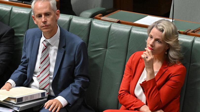 Minister for Immigration Andrew Giles and Minister for Home Affairs Clare O’Neil during a division in the House of Representatives at Parliament House in Canberra, Tuesday, March 26, 2024. (AAP Image/Mick Tsikas) NO ARCHIVING