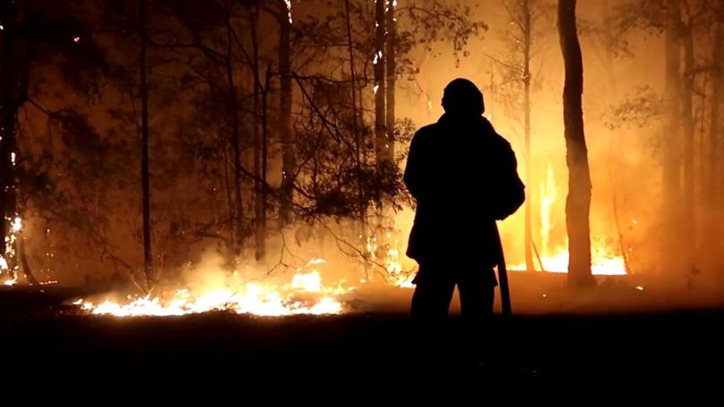 Twenty five people died in the horror 2019-20 Black Summer bushfires. 