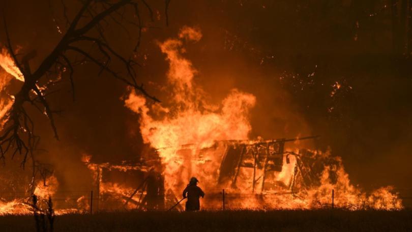 The inquest examined 44 Black Summer fires, including 12 that led to deaths.