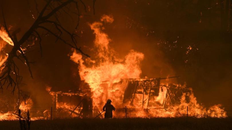 The inquest examined 44 Black Summer fires, including 12 that led to deaths. 