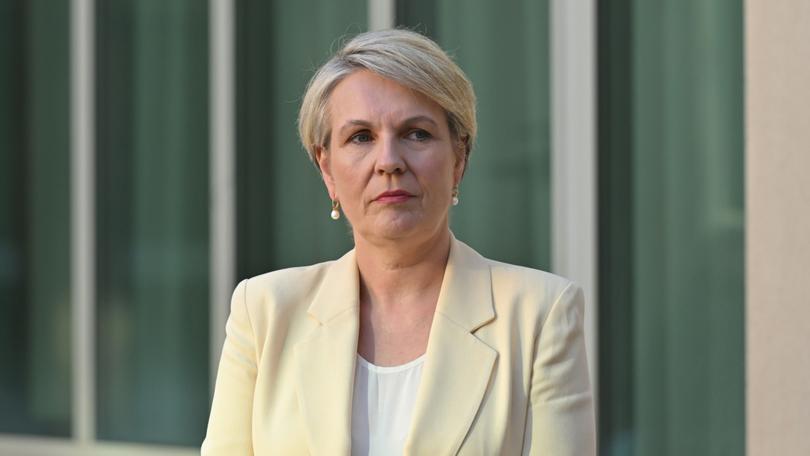 Environment Minister Tanya Plibersek would not confirm if she planned to carve up the package but said the Government was working “methodically” on “sensible updates” that would make the nation’s nature laws work better for business and the environment. 