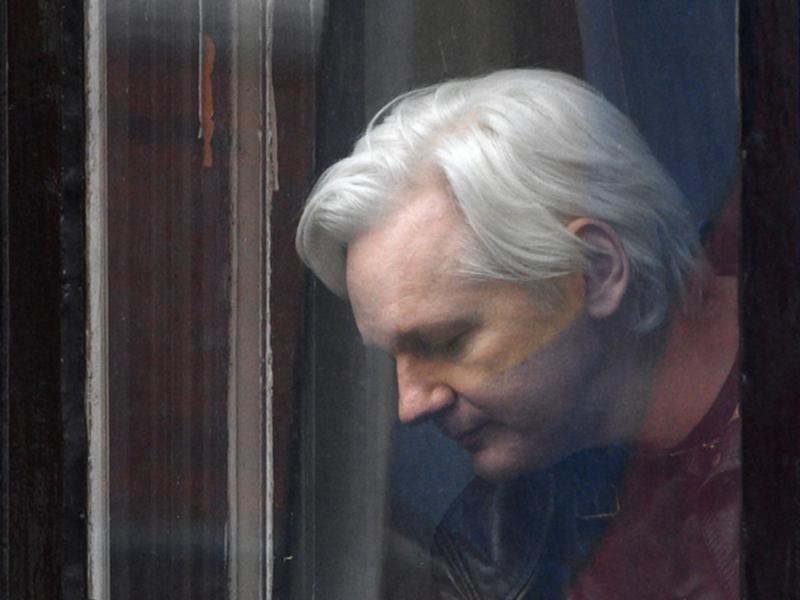 Wikileaks founder Julian Assange leans out a window.