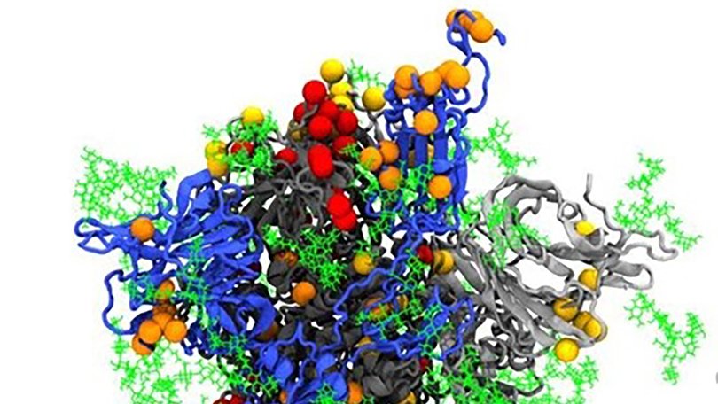 A representation of the Omicron spike (mutation positions shown as coloured balls).