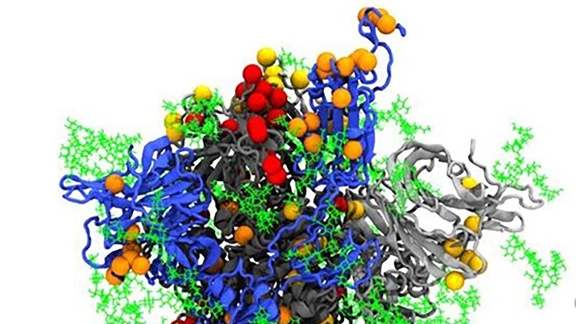 A representation of the Omicron spike (mutation positions shown as coloured balls). 