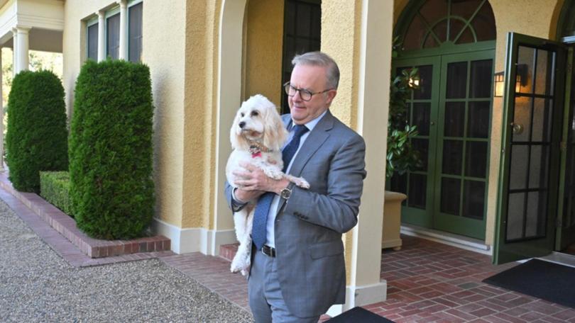 Prime Minister Anthony Albanese, pictured with his dog Toto, has wished Australians a Happy Easter. 