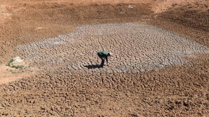 Modelling by researchers suggests Australia could be hit by much longer than usual droughts. (David Mariuz/AAP PHOTOS)