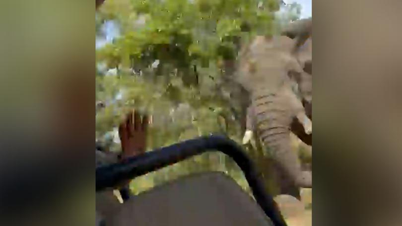 The enraged bull elephant chased and attacked tourists on safari in Zambia.