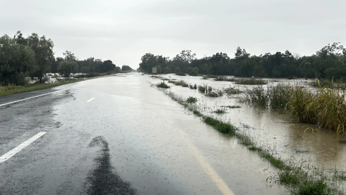 Sydney weather: Hundreds call for help as heavy rain, thunderstorms and ...