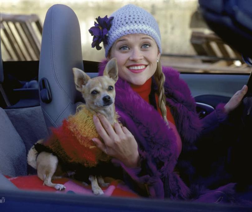 Legally Blonde stars Reese Witherspoon.