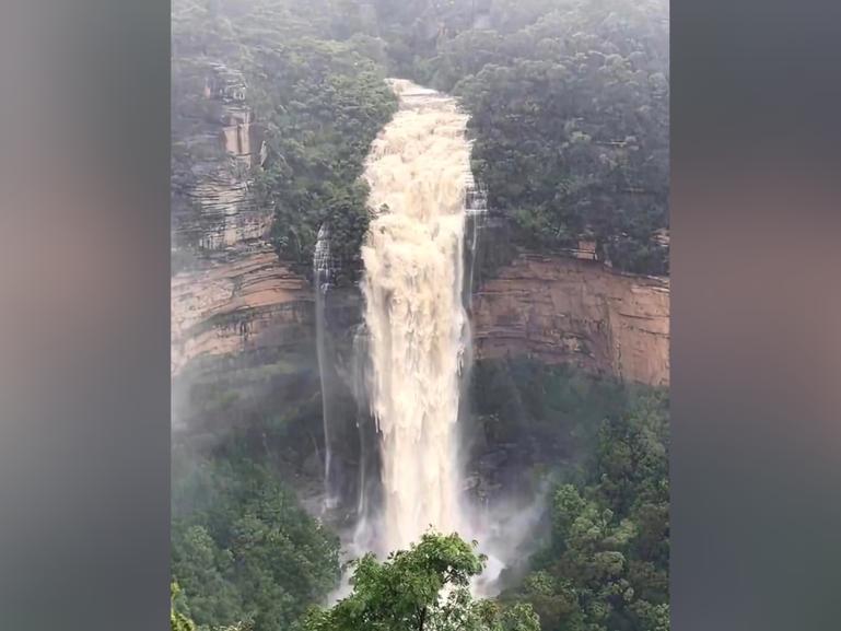 Blue Mountains' boardwalks were closed due to massive rainfall levels.