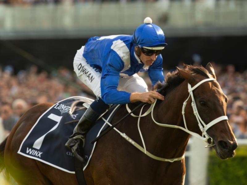 Winx, with Hugh Bowman aboard.