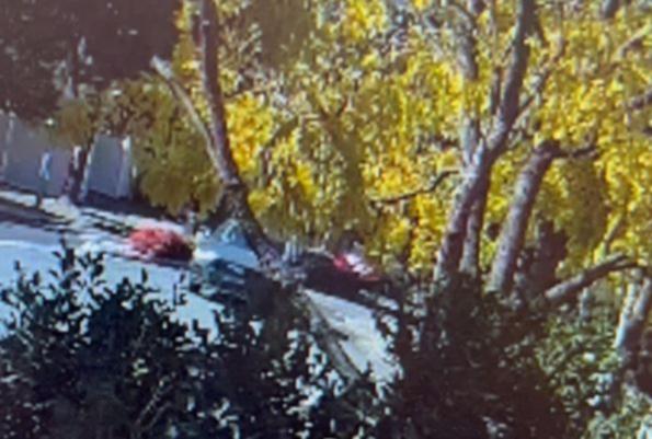Police release CCTV vision of the alleged would-be kidnapper’s car.