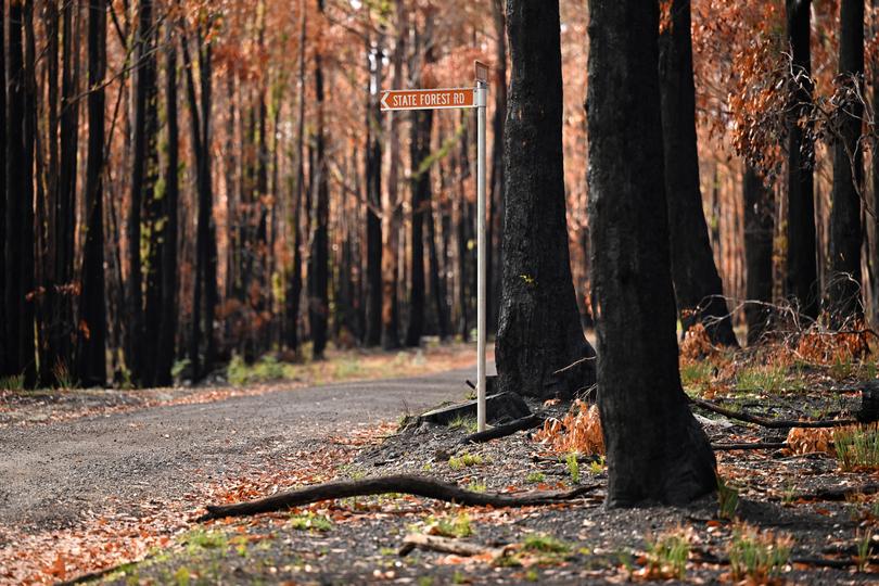 The car containing her was allegedly dumped and set alight about 5m off Victoria Road near State Forest Road in Scarsdale. 