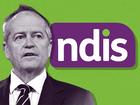 Bill Shorten to intervene to stop taxpayer-funded NDIS support for serial sex offender Wayne Wilmot. 