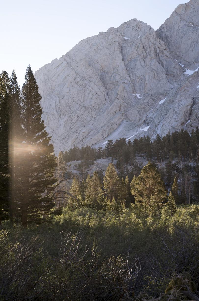 Big Horn Sheep Park, about three and a half miles into the hike in Mount Whitney, Calif., in July 2023. In Big Horn Sheep Park water was pouring down hillsides and rocks, flooding the vegetation.