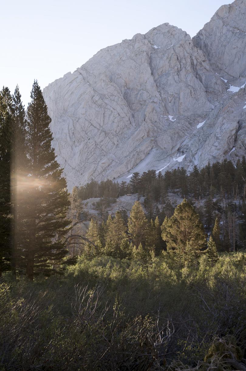 Big Horn Sheep Park, about three and a half miles into the hike in Mount Whitney, Calif., in July 2023. In Big Horn Sheep Park water was pouring down hillsides and rocks, flooding the vegetation. 