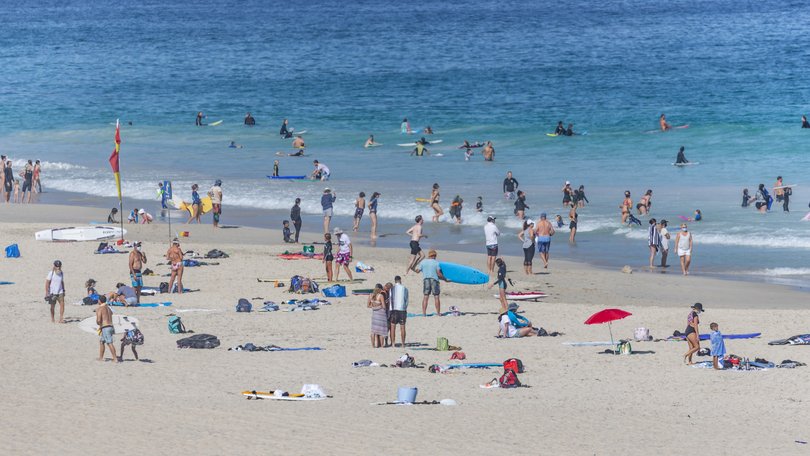 Police were forced to shoot a dog dead in the carpark of Trigg Beach.