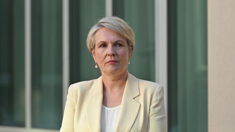 Minister for Environment Tanya Plibersek. 