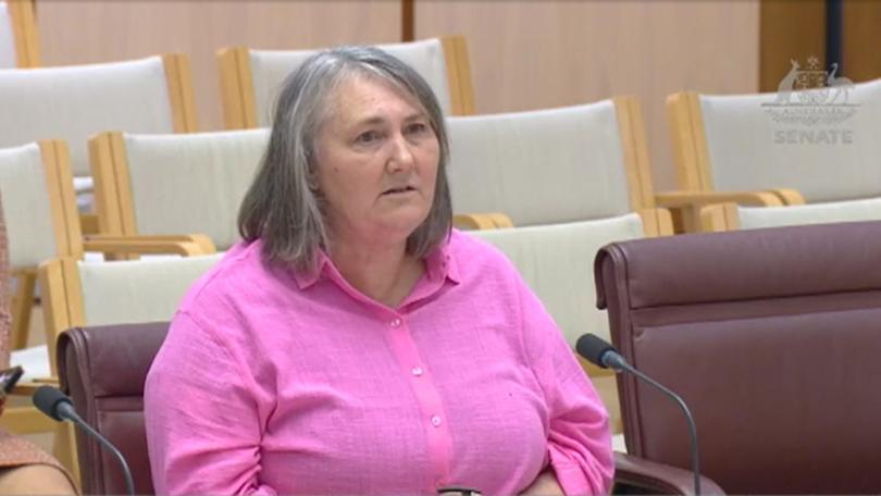 Brocklands Nursery owner Karen Brock testifies to the Senate.