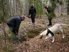Police use a cadaver dog during the search for the body of missing woman Samantha Murphy.