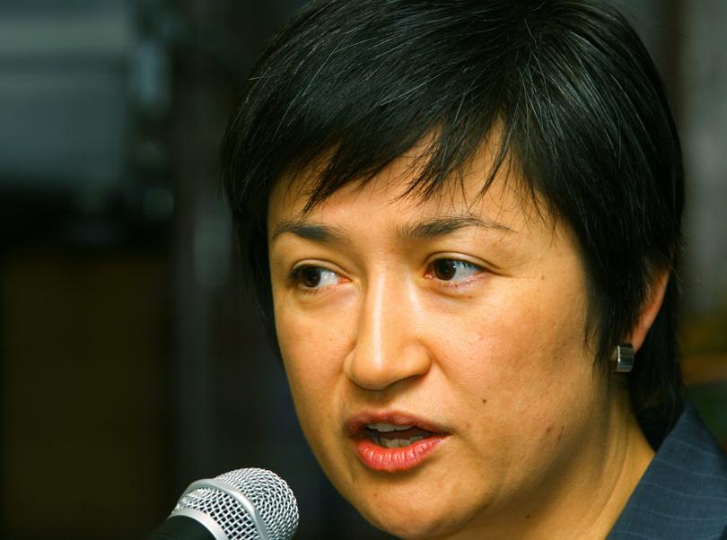 Openly gay Labor Senator Penny Wong, pictured in 2008, celebrated the passage of the Same-Sex Relationship Bill.