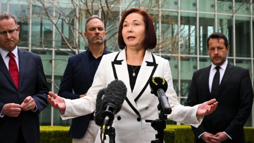 Minerals Council CEO Tania Constable. (Lukas Coch/AAP PHOTOS) Credit: AAP