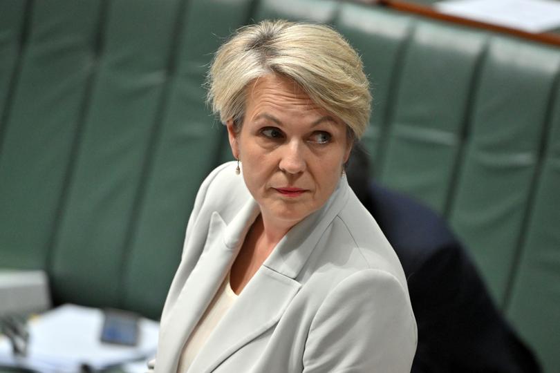 Minister for Environment Tanya Plibersek during Question Time in the House of Representatives at Parliament House in Canberra, Thursday, October 19, 2023. (AAP Image/Mick Tsikas) NO ARCHIVING