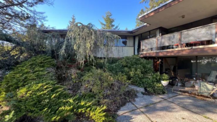 The abandoned property’s backyard was completely overgrown.