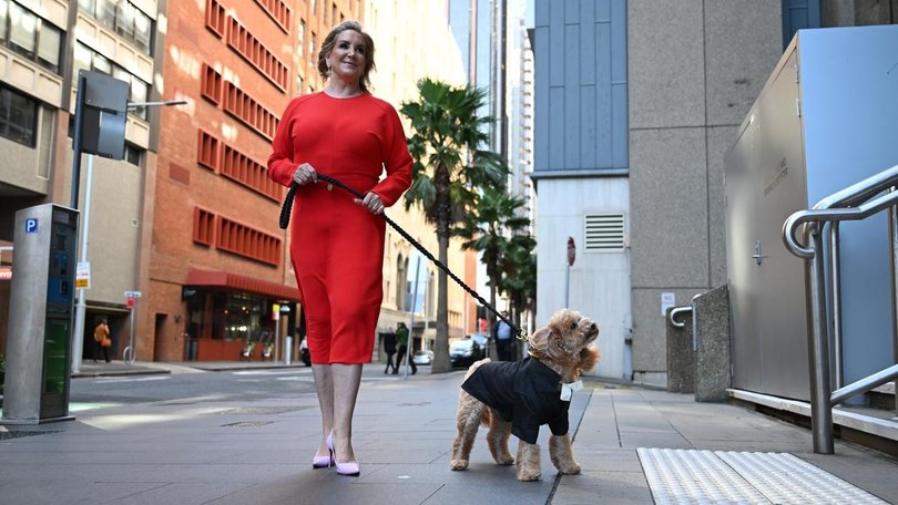 Gina Edwards has been awarded $150,000 for Nine reports of a custody dispute over cavoodle Oscar. (Dean Lewins/AAP PHOTOS)