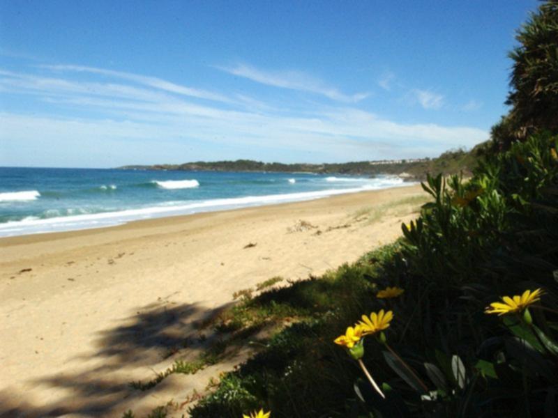 A beach at Coffs Harbour