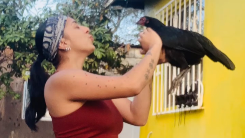 Ari Gisel Garcia Cota has documented an obsession with cockfighting.