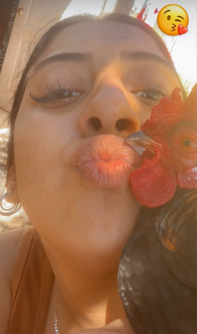 Ari Gisel Garcia Cota has shared bizarre images of her with roosters.