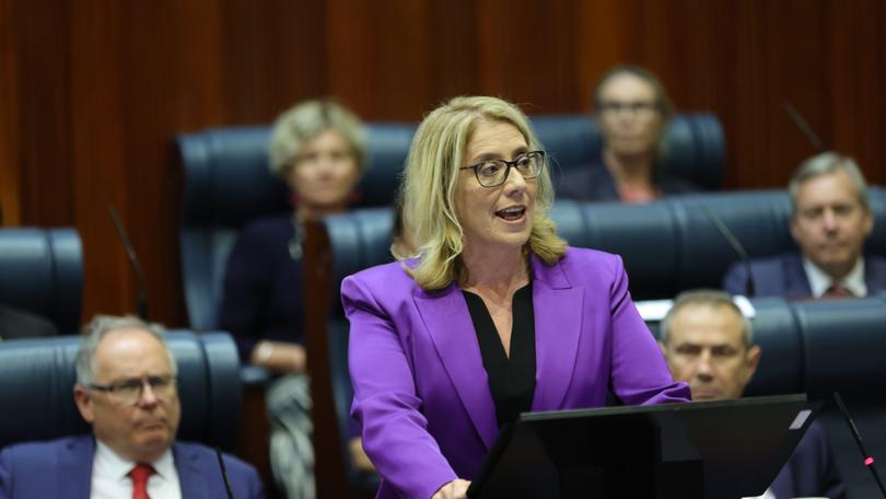 Rita Saffioti delivers the Budget in Parliament 