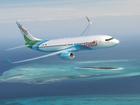 Air Vanuatu has been placed into voluntary administration.