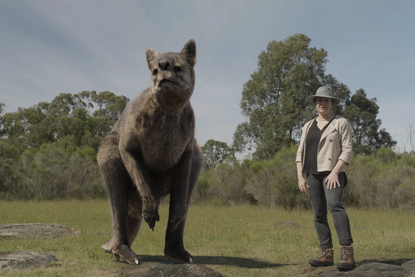 Megafauna: What Killed Australia’s Giants?