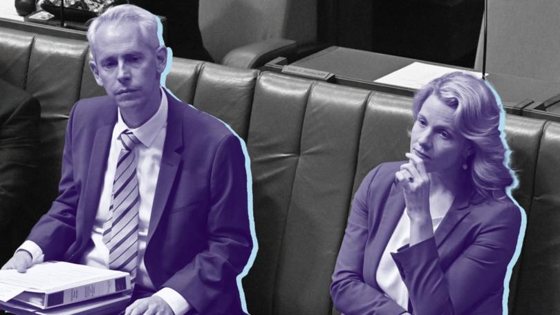 At every turn, there has been a whole lot of incompetence and not a lot of accountability from both Immigration Minister Andrew Giles and Home Affairs Minister Clare O’Neil.