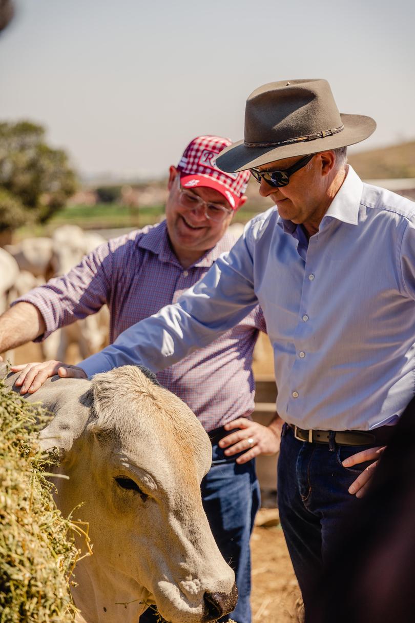 Prime Minister Anthony Albanese and Federal Minister for Agriculture, Fisheries and Forestry Murray Watt during a visit to Raglan Station in Raglan, Queensland, Friday, August 19, 2022. 