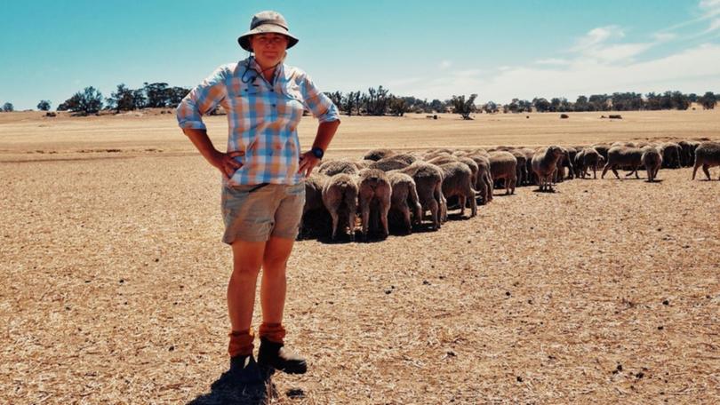 WA sheep farmer Ellen Walker says the decision to phase out live exports is a "punch in the guts". 