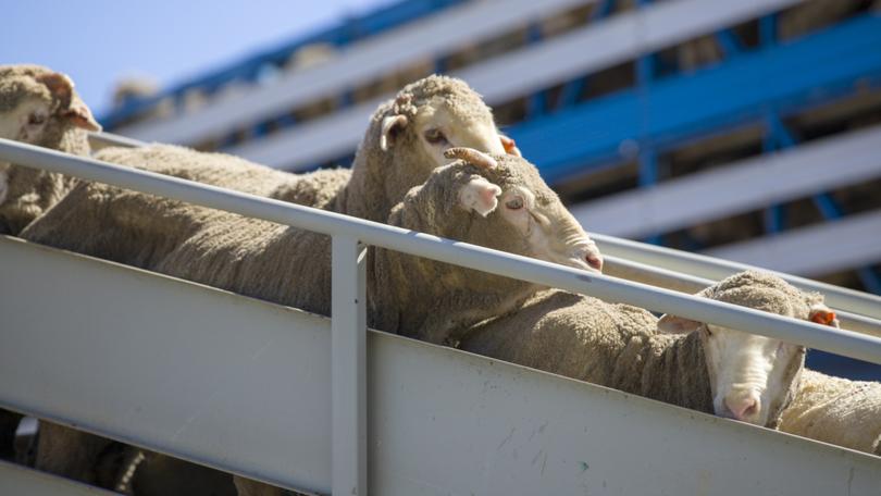 Al Messilah vessel tour at Fremantle Port on Sunday, September 22. Cally Dupe