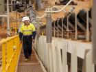 FMG chairman Andrew Forrest at the Concentrate Handling Facility (CHF) in Port Hedland.