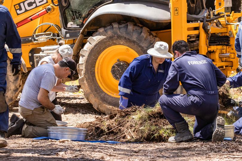 Victoria Police and forensics search for remains of missing campers Russell Hill and Carol Clay in bushland north of Dargo, Vic, Tuesday, November 30, 2021. 